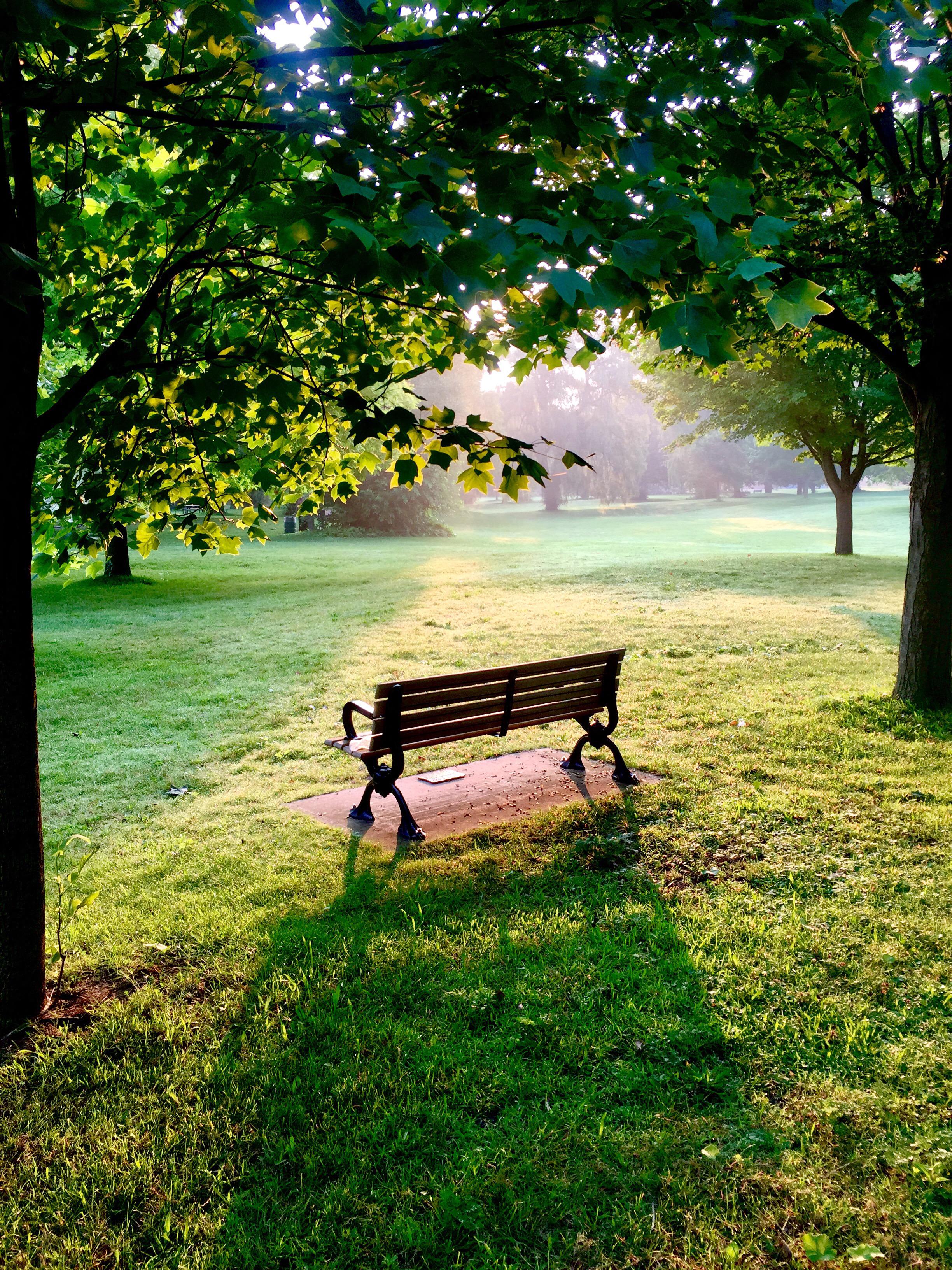 The Politics of Loneliness