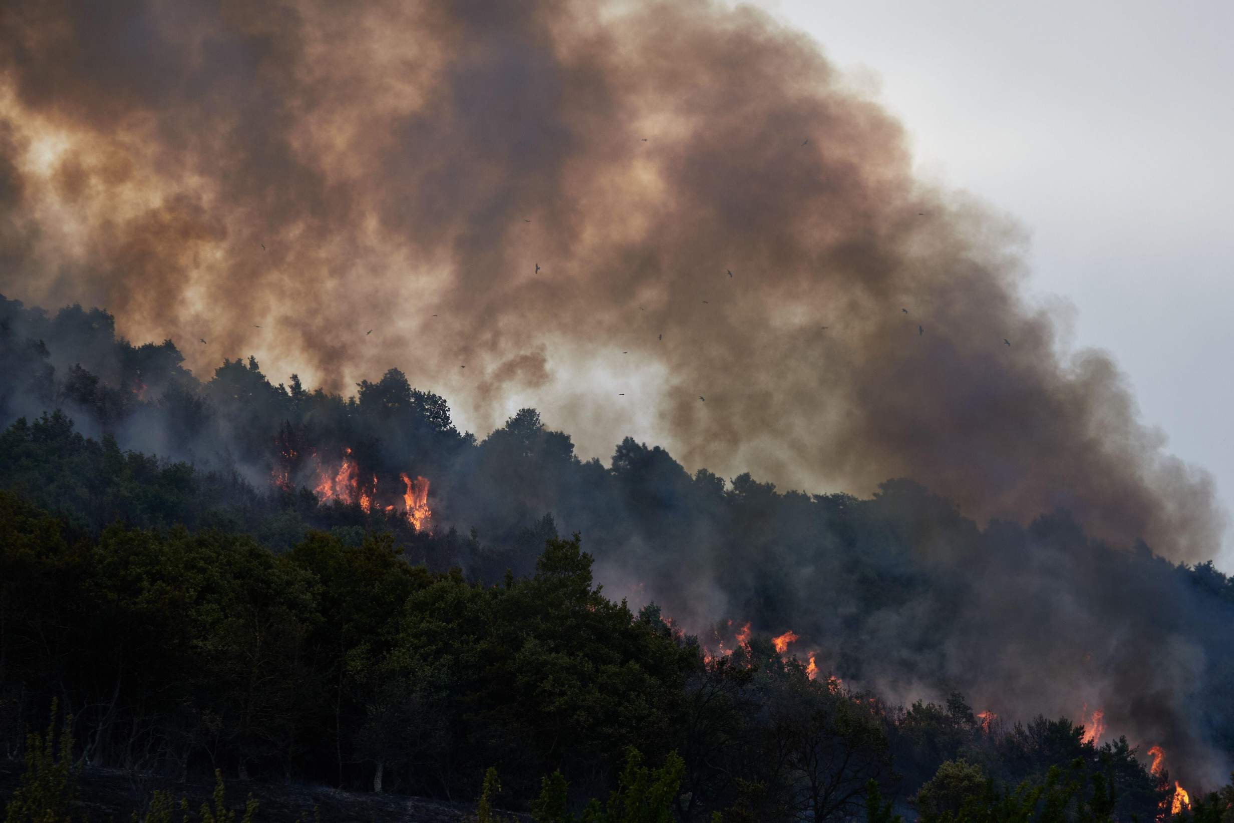 Not the ‘New Normal’ Educating the Public on the Nature and Climate Crisis is a Step to Putting it Firmly on the Political Agenda